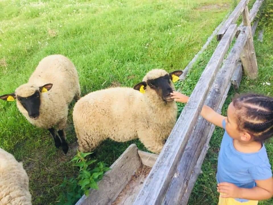 Namelis Nr 1 Adeles Sodyba Sturmai 外观 照片